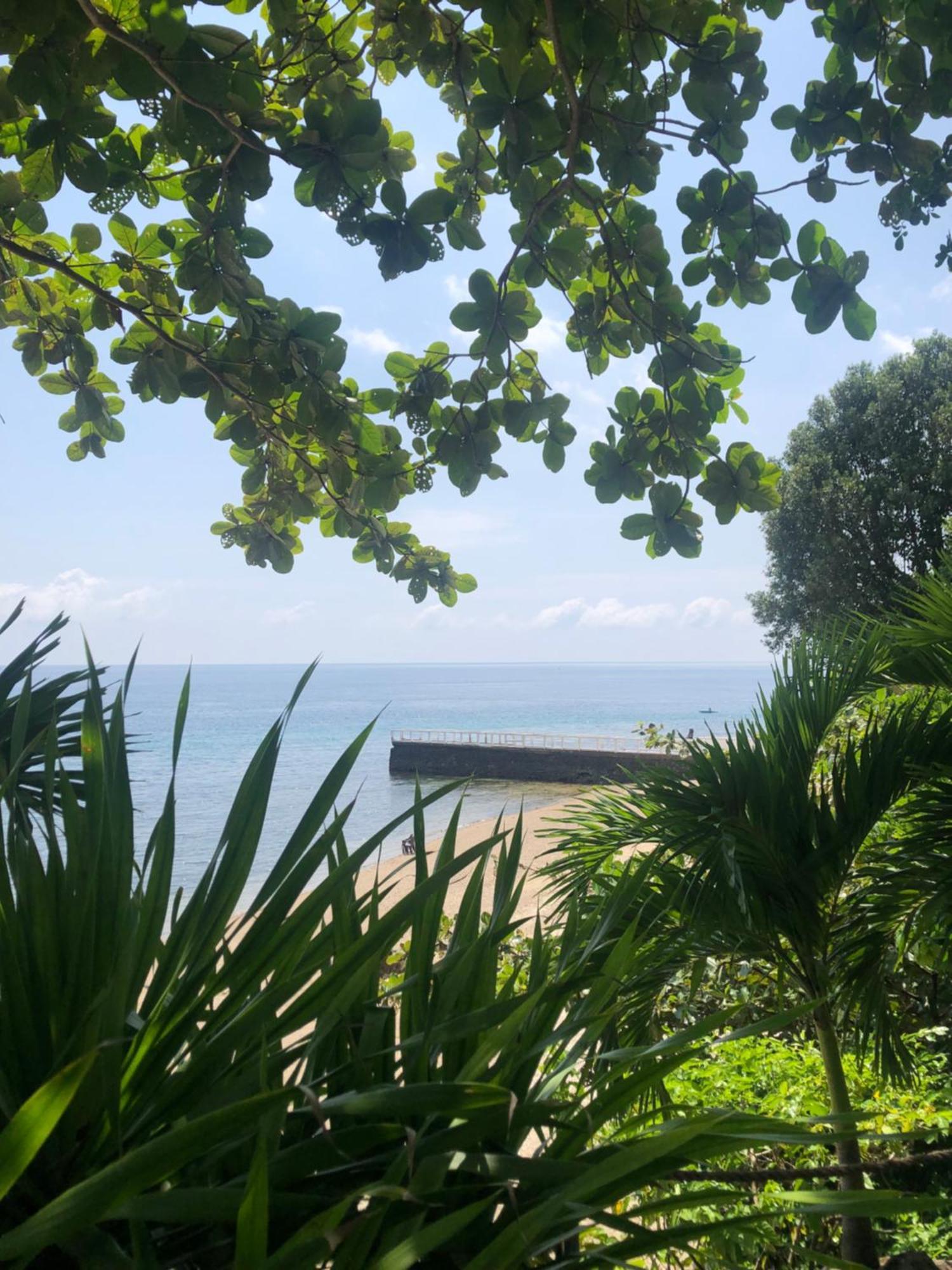 Wuthering Heights Bed & Breakfast By The Sea Dumaguete City Eksteriør bilde