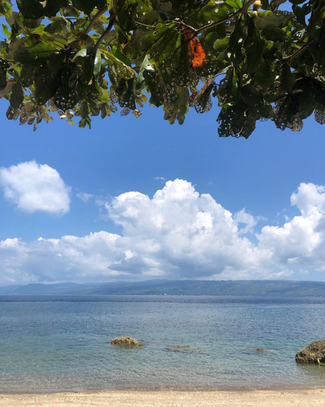 Wuthering Heights Bed & Breakfast By The Sea Dumaguete City Eksteriør bilde