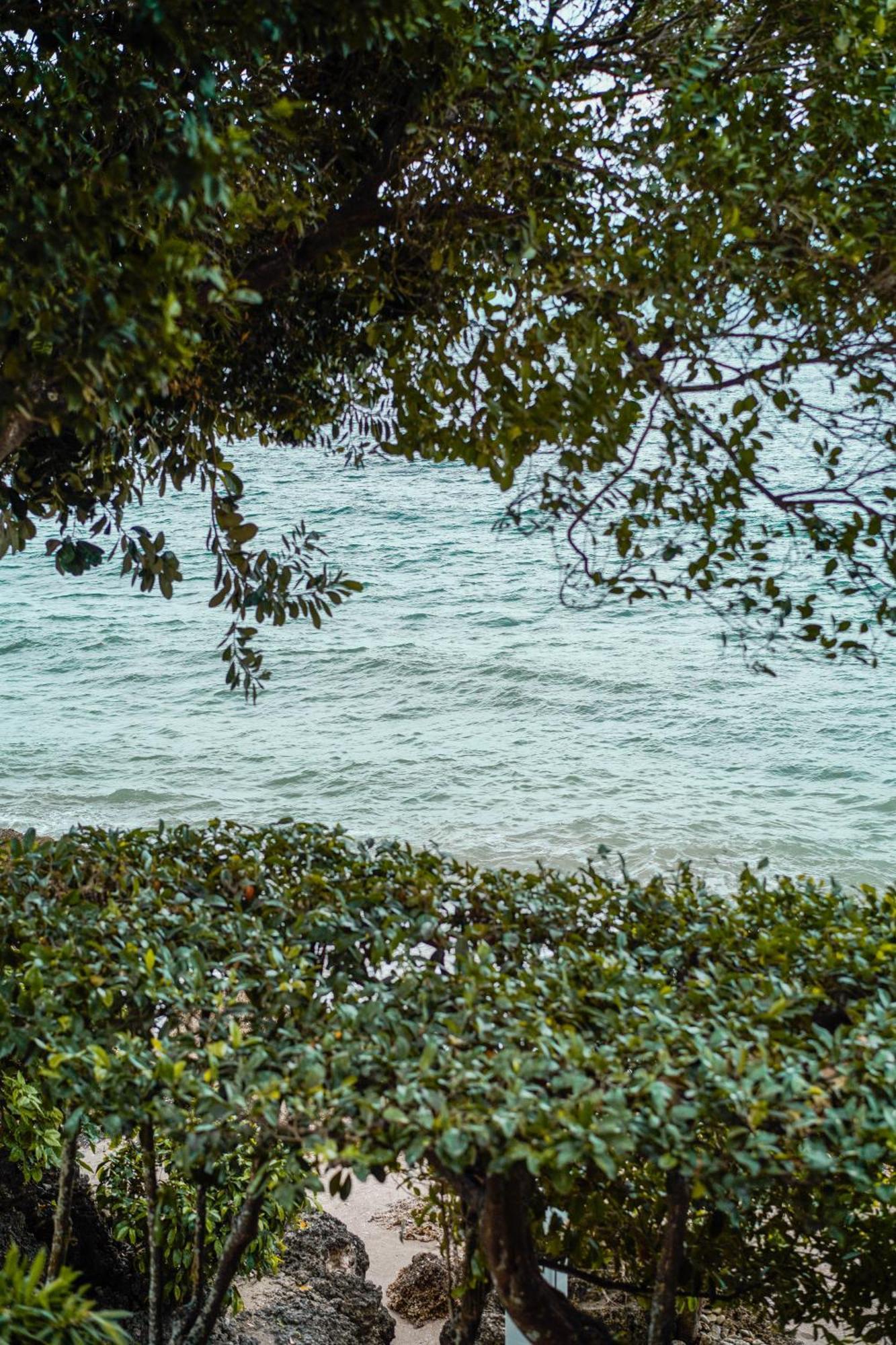 Wuthering Heights Bed & Breakfast By The Sea Dumaguete City Eksteriør bilde